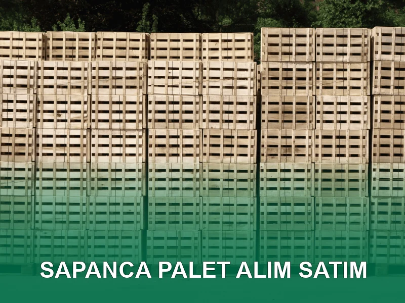 Sapanca Palet Galeri 3