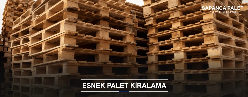 Sapanca Uygun Fiyatlı Palet Kiralama Sapanca Uygun Fiyatlı Palet Kiralama